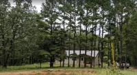 Whispering Pines in the Country on 40 Acres
