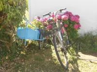 Nice sea view, south facing, Wifi, Parking, 50 m from beach & Thalasso