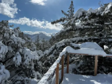 River Dreams at Ice House Canyon