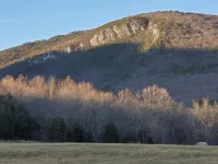 Adorable Cabin at Trout-Stocked Paddy Run Surrounded by GWNF and Hiking Trails