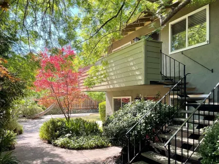 Cozy and Lovely walk to downtown