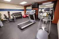 Hampton Inn & Suites Berkshires-Lenox - Gym