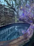 Daisy-a romantic logcabin hiding amongst the trees
