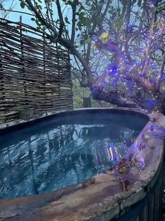 Daisy-a romantic logcabin hiding amongst the trees