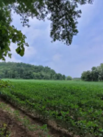 Creekside With Hot Tub, Gas Fireplace, Fishing, Minutes to Downtown and Omni Spa