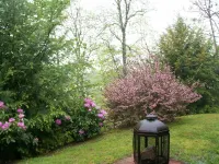 3-bedroom 3-bath cabin just 6 minutes drive to Harrahs Cherokee Casino