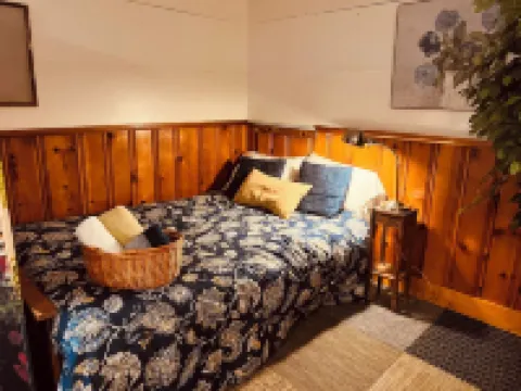 Yellow Submarine trendy basement apt and courtyard