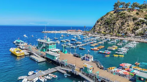 New Oceanfront Villa in Hamilton Cove. Golf Cart, Terrace + Easy Access