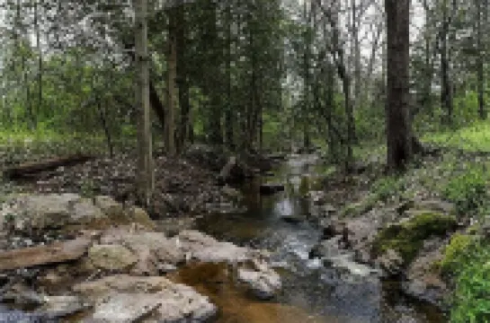 Quiet and cozy cottage hidden on the banks of Lake Norman