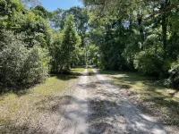 A charming cabin tucked in the woods