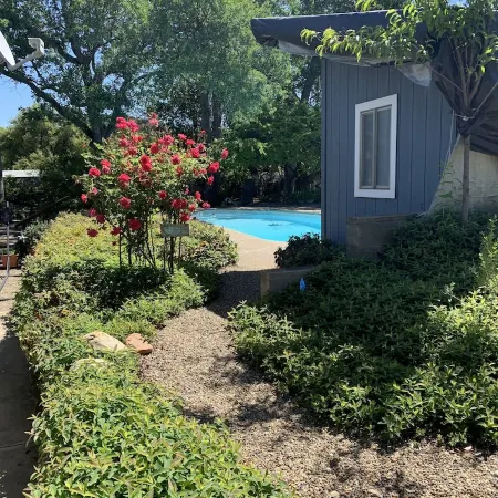 Robin's Nest - Cozy & quiet guest house minutes from historic downtown Mariposa