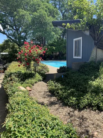 Robin's Nest - Cozy & quiet guest house minutes from historic downtown Mariposa