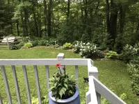 Garden Cottage 2.5 Miles to Downtown With Private, Wooded Surroundings