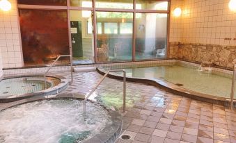 Grand Park Hotel Okubiwako Makino