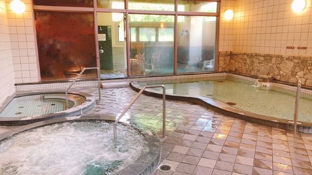 그랜드 파크 호텔 오쿠비와코 마키노