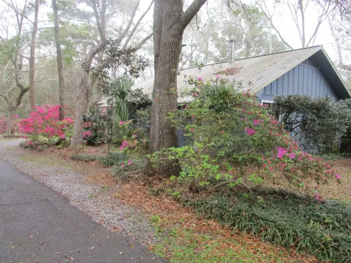 Beautiful Secluded Cottage In Old Ocean Springs Ms
