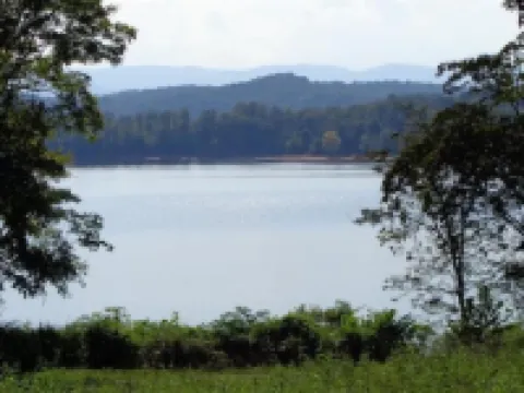 Peaceful lakeview cabin with private dock & dog run