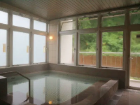 岩戸温泉 つるぎの宿 岩戸 つるぎ町のホテル