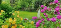 Vacation in a small park
