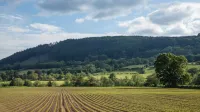 Hardwick Farm - Desayuno