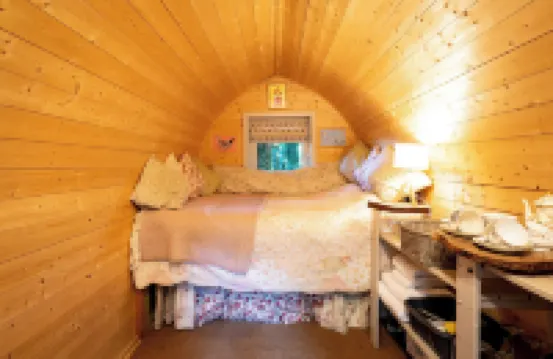 Hollington Park Glamping