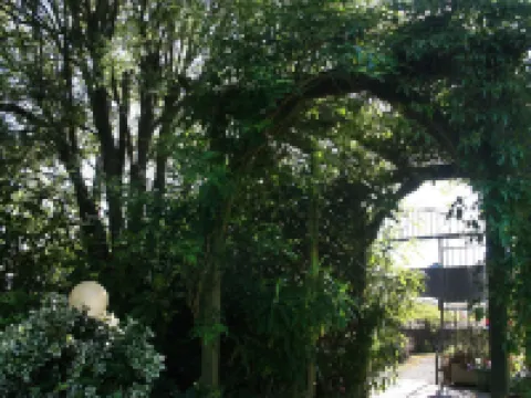 Townhouse Rooms Hotel a Truro