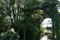 Townhouse Rooms Hotels in Carnon Downs