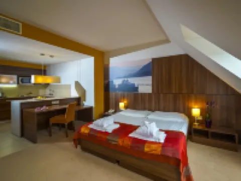 皇傢俱樂部酒店 維謝格拉德酒店