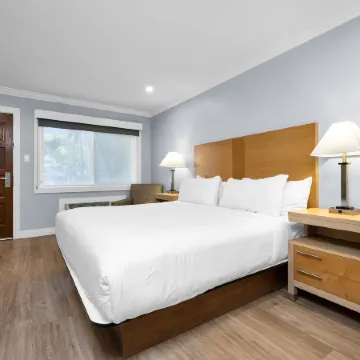 The Millwood - A Boutique Hotel