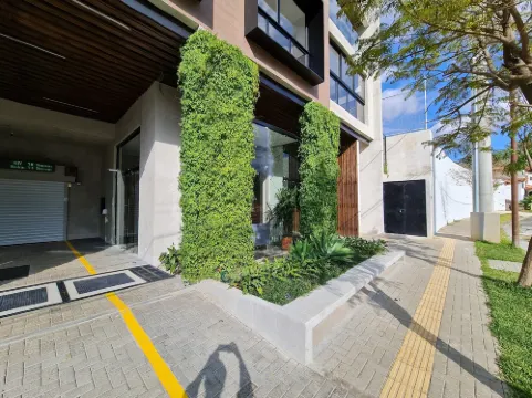 Bee Suites San Jose - Escalante