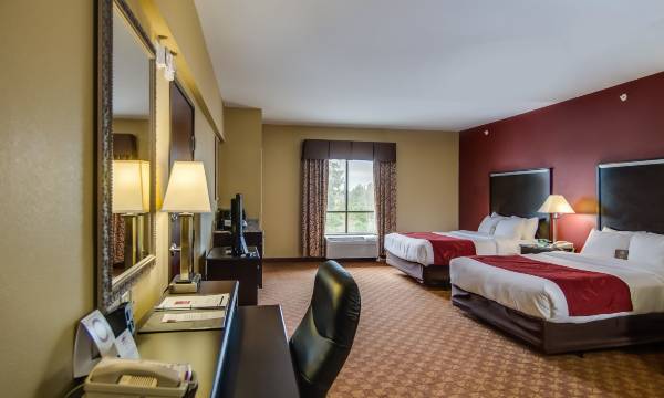 Comfort Suites Old Town Spring