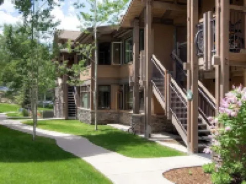 雪松假期之森林木屋