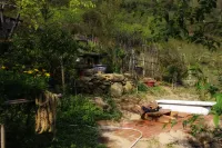Chapi Dreamy Home Hotels in Hau Thao