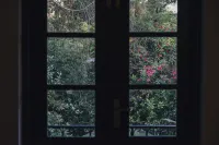 班達拉瓦拉共和國別墅飯店 - 山景
