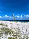 Pvt Pool, 2 Br 1 Ba Apt. 1 Street Fr. Bch. Golf Cart Available!
