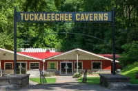 Beautiful custom cabin on private lake w/ foosball, hot tub, & fireplace Hotels in Blount County