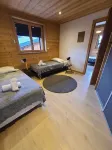 Chalet 15 persons Cocon des neiges resort center Les Gets/ all comfort Hotels near La Ferme de Caroline