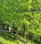 Nash’s cabin in Leitchfield that is Pet Friendly, WIFI, w/ Creek.