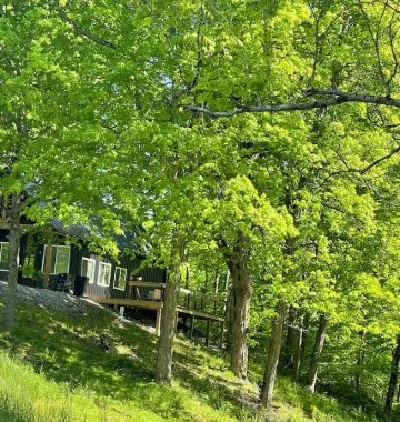 Nash’s cabin in Leitchfield that is Pet Friendly, WIFI, w/ Creek.