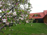 House Tina Hotels in 