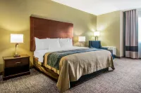 Comfort Inn Atlanta Downtown South Hotels in Gresham Park