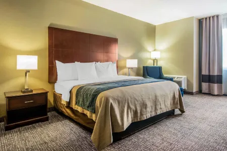 Comfort Inn Atlanta Downtown South