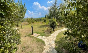 Exclusive Pool - Wondrous Views - Biological Gardens - Pool House - 12 Guests