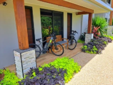 시드림스 미션 비치