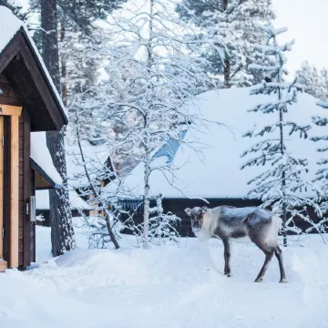 Aurora Village Ivalo