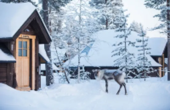 Aurora Village Ivalo