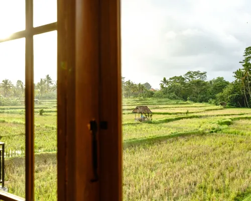 Tembaga Serenity Villa – Paradise with Pool and Garden Xung quanh Photos