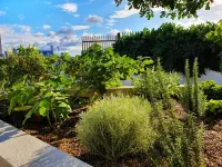 2Br Food Drink Hub Gym Pool Views Roof Terrace Hotels near Ross Street Park