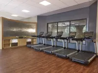 DoubleTree by Hilton Orlando Theme Park Resort - Gym