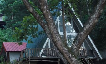 Tree Nature Resort